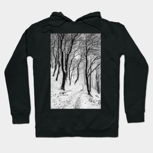 Winter Trees in Mist and Snow Hoodie